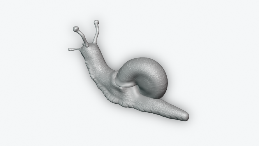 Snail 3D Print 243453 Snail 3D Print 243453