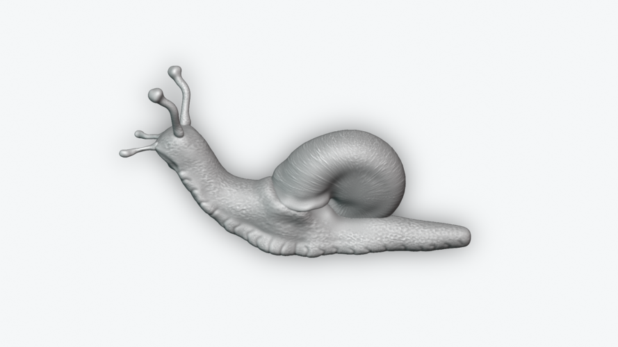 Snail 3D Print 243454 Snail 3D Print 243454