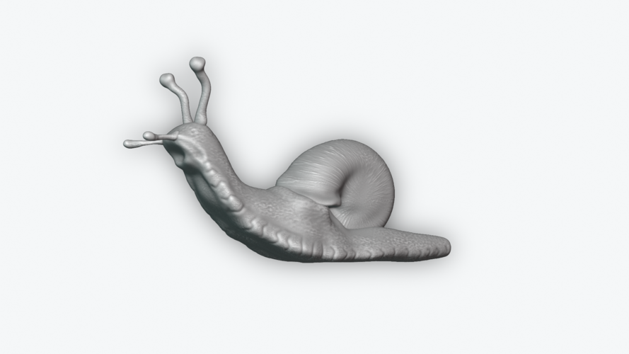 Snail 3D Print 243455 Snail 3D Print 243455