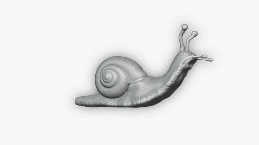 Snail 3D Print 243458 Snail 3D Print 243458