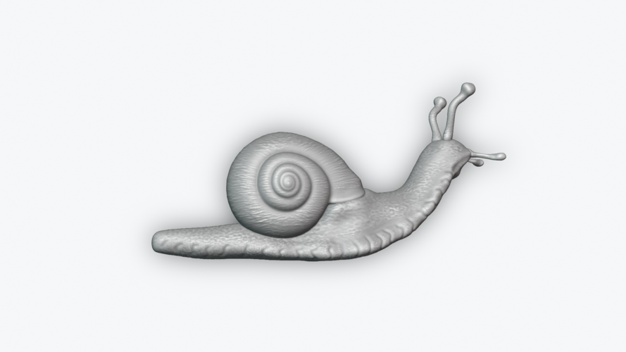 Snail 3D Print 243459 Snail 3D Print 243459
