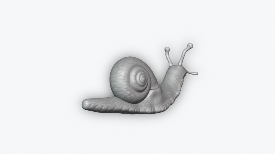 Snail 3D Print 243460 Snail 3D Print 243460