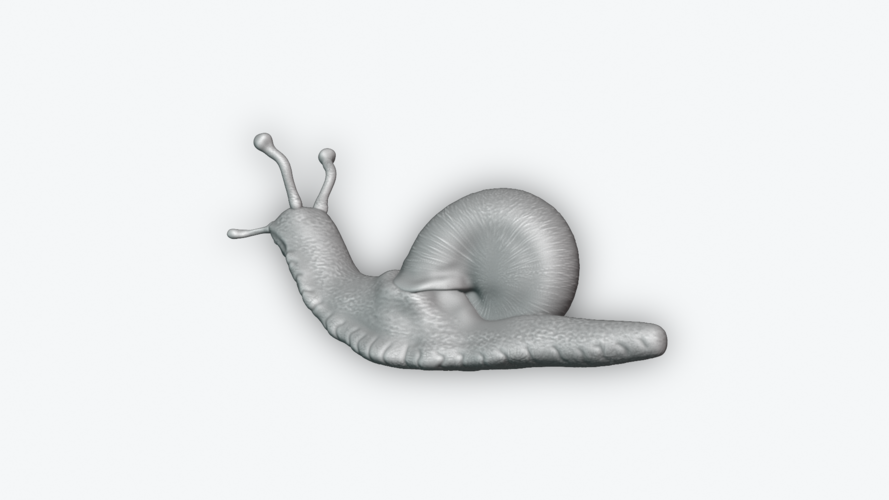Snail 3D Print 243463 Snail 3D Print 243463