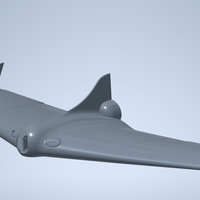 Small Fully Printed Flying Wing 3D Printing 244778
