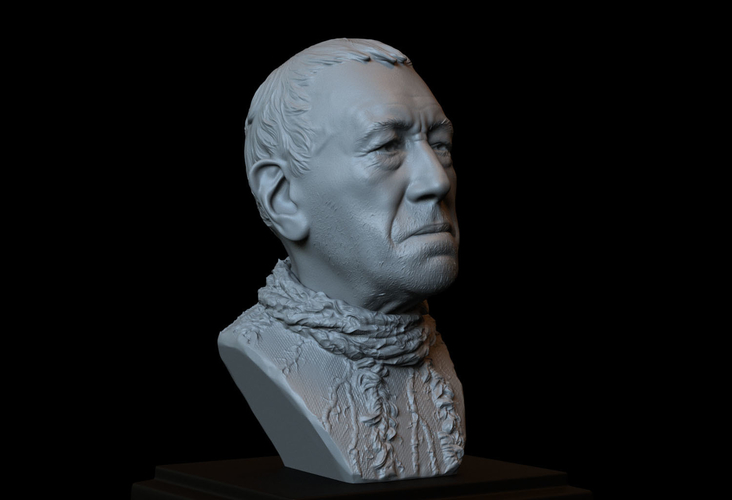 Three Eyed Raven (Max Von Sydow) #GameofThrones bust, portrait 3D Print 245353 Three Eyed Raven (Max Von Sydow) #GameofThrones bust, portrait 3D Print 245353