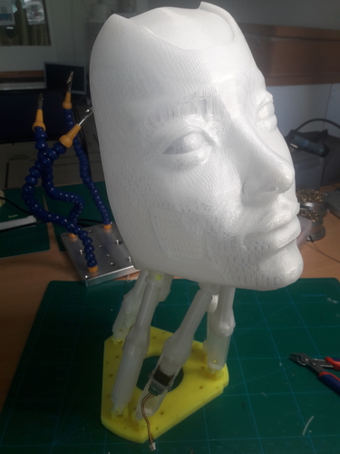 STEWART PLATFORM (FINISHED) 3D Print 245717 STEWART PLATFORM (FINISHED) 3D Print 245717