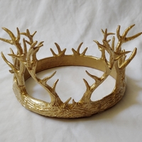 Small Antler Crown 3D Printing 245898