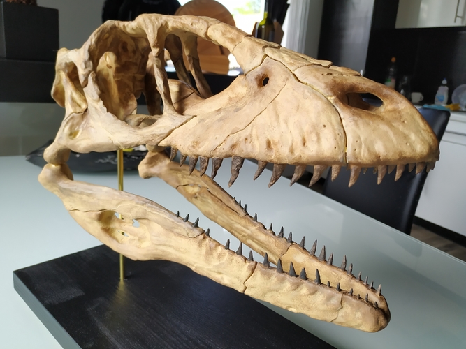 Deinonychus Skull (Part 1/2) 3D Print 246538 Deinonychus Skull (Part 1/2) 3D Print 246538