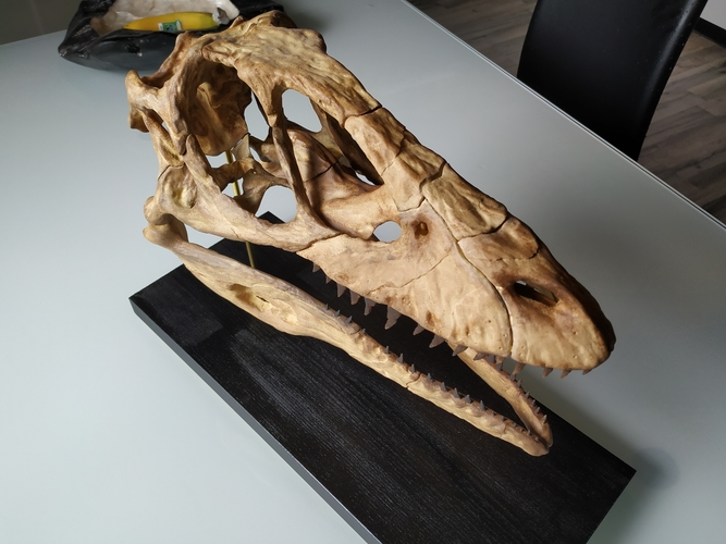 Deinonychus Skull (Part 1/2) 3D Print 246539 Deinonychus Skull (Part 1/2) 3D Print 246539