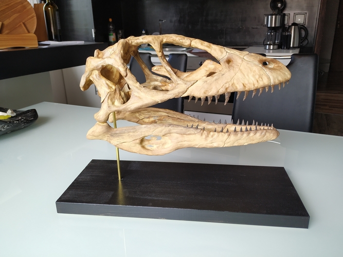 Deinonychus Skull (Part 1/2) 3D Print 246540 Deinonychus Skull (Part 1/2) 3D Print 246540