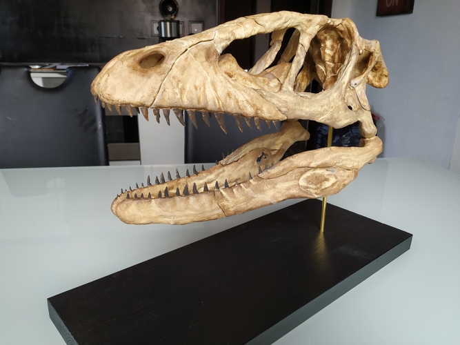Deinonychus Skull (Part 1/2) 3D Print 246541 Deinonychus Skull (Part 1/2) 3D Print 246541