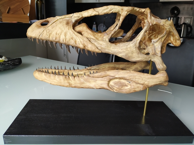 Deinonychus Skull (Part 1/2) 3D Print 246542 Deinonychus Skull (Part 1/2) 3D Print 246542