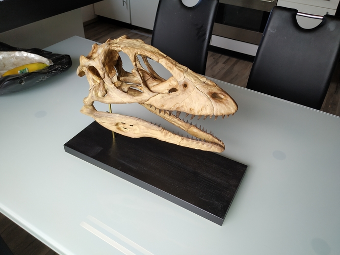 Deinonychus Skull (Part 1/2) 3D Print 246543 Deinonychus Skull (Part 1/2) 3D Print 246543