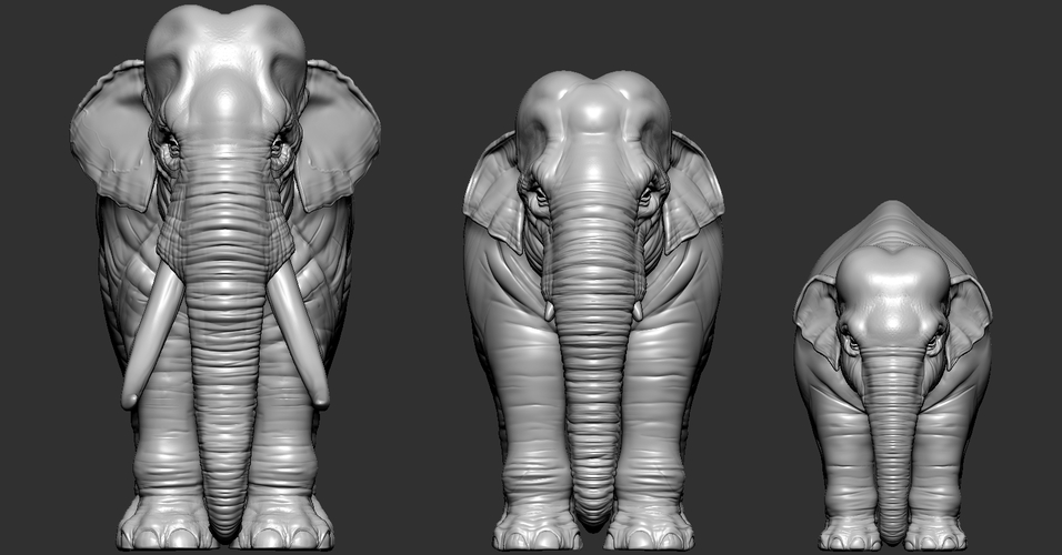 Elephant asian 3D Print 246737 Elephant asian 3D Print 246737