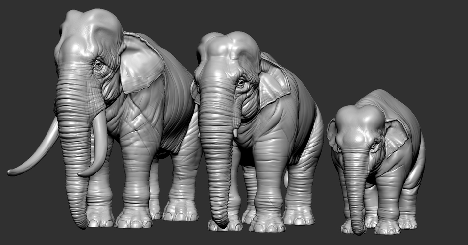 Elephant asian 3D Print 246738 Elephant asian 3D Print 246738