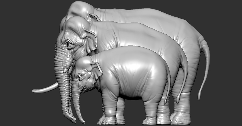 Elephant asian 3D Print 246739 Elephant asian 3D Print 246739