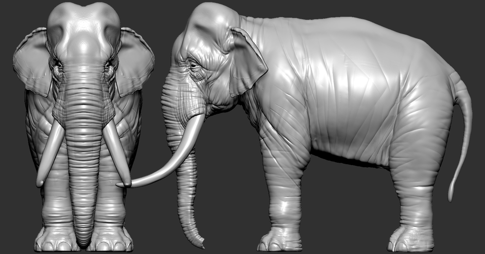 Elephant asian 3D Print 246743 Elephant asian 3D Print 246743