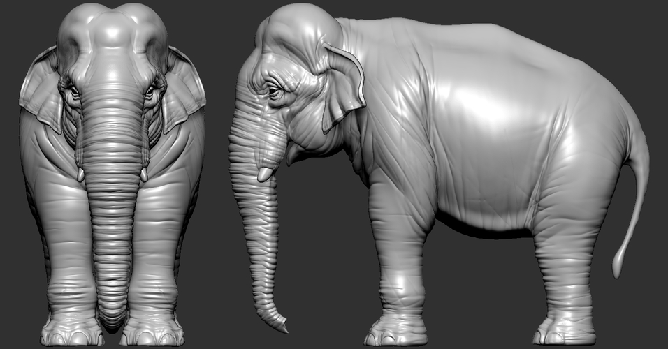 Elephant asian 3D Print 246744 Elephant asian 3D Print 246744