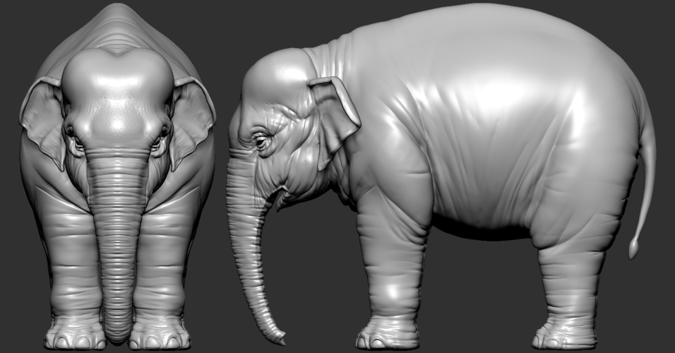 Elephant asian 3D Print 246745 Elephant asian 3D Print 246745