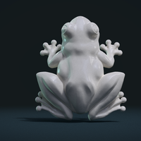 Small Frog 3D Printing 247595