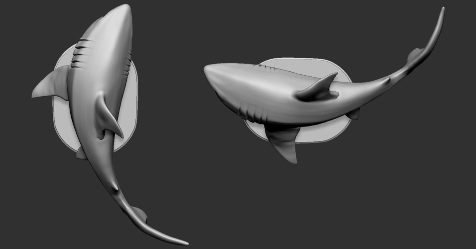 Shark 3D Print 247700 Shark 3D Print 247700
