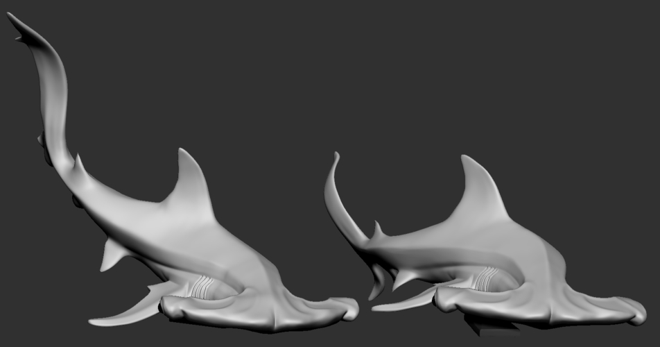 Hammerhead shark 3D Print 247706 Hammerhead shark 3D Print 247706