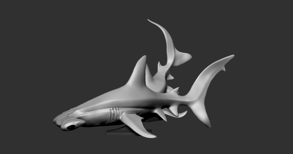Hammerhead shark 3D Print 247707 Hammerhead shark 3D Print 247707
