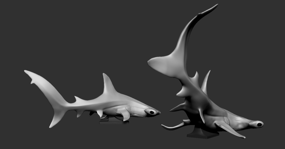 Hammerhead shark 3D Print 247709 Hammerhead shark 3D Print 247709