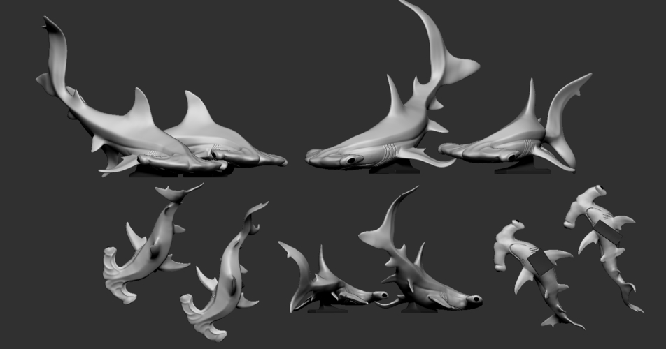 Hammerhead shark 3D Print 247712 Hammerhead shark 3D Print 247712