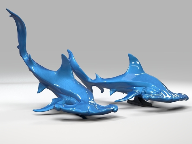 Hammerhead shark 3D Print 247716 Hammerhead shark 3D Print 247716