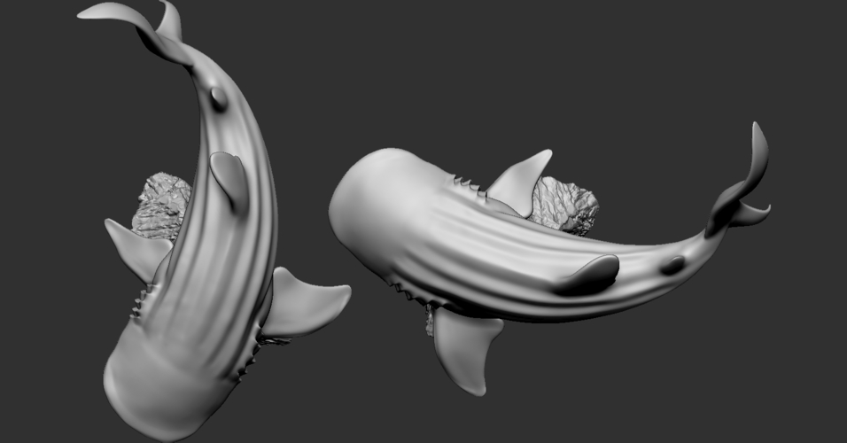 Whale Shark 3D Print 247726 Whale Shark 3D Print 247726