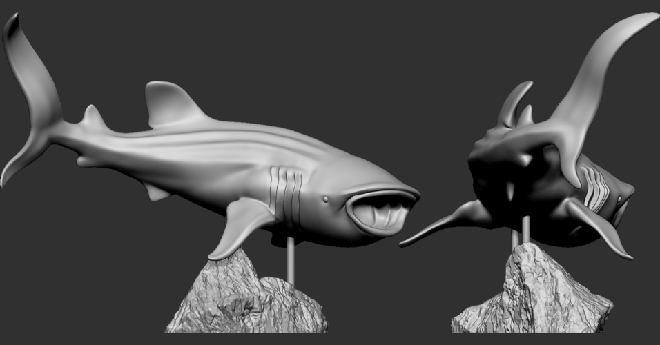 Whale Shark 3D Print 247727 Whale Shark 3D Print 247727