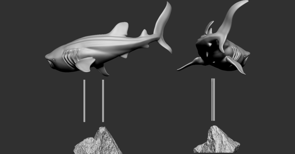 Whale Shark 3D Print 247730 Whale Shark 3D Print 247730