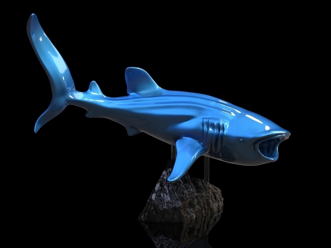 Whale Shark 3D Print 247731 Whale Shark 3D Print 247731