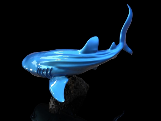 Whale Shark 3D Print 247732 Whale Shark 3D Print 247732