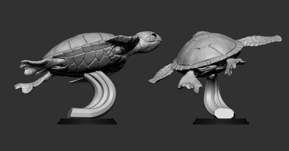 Turtle 3D Print 247736 Turtle 3D Print 247736