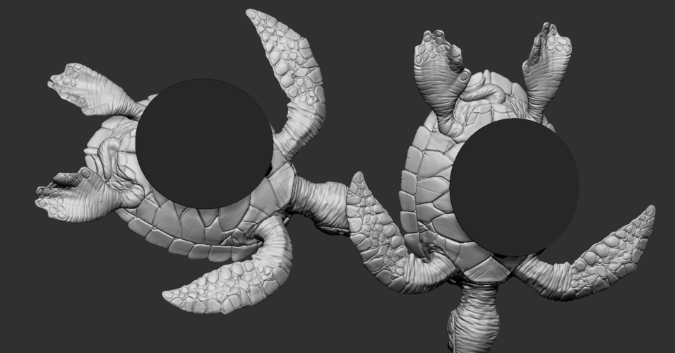 Turtle 3D Print 247737 Turtle 3D Print 247737