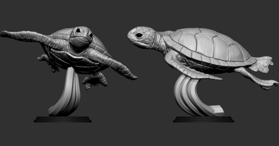 Turtle 3D Print 247738 Turtle 3D Print 247738