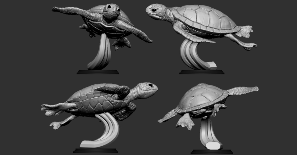 Turtle 3D Print 247739 Turtle 3D Print 247739