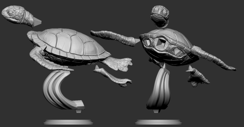 Turtle 3D Print 247740 Turtle 3D Print 247740