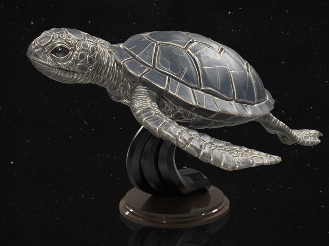 Turtle 3D Print 247741 Turtle 3D Print 247741