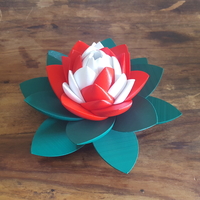 Small Lotus Puzzle 3D Printing 249943