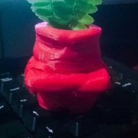 Small Inside Out Anger Planter 3D Printing 25026