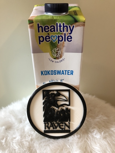 Raven Software coaster 3D Print 250506 Raven Software coaster 3D Print 250506