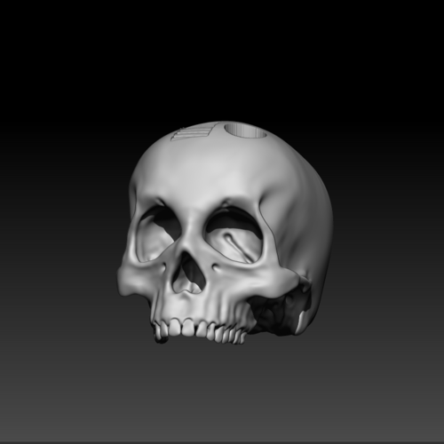 Skull 3D Print 251634 Skull 3D Print 251634