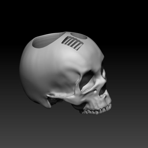 Skull 3D Print 251635 Skull 3D Print 251635