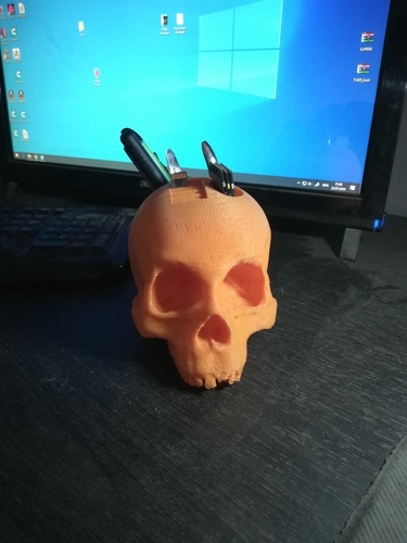 Skull 3D Print 251636 Skull 3D Print 251636