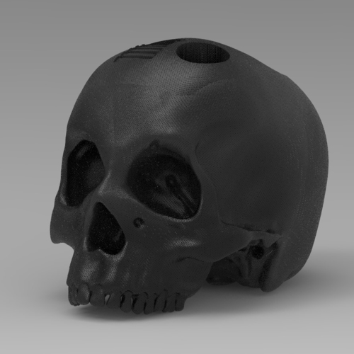 Skull 3D Print 254276 Skull 3D Print 254276