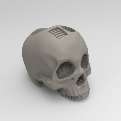 Skull 3D Print 254278 Skull 3D Print 254278