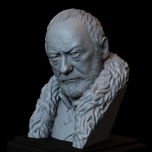 Davos Seaworth #GameOfThrones Portrait, Bust, 200mm 3D Print 254346 Davos Seaworth #GameOfThrones Portrait, Bust, 200mm 3D Print 254346